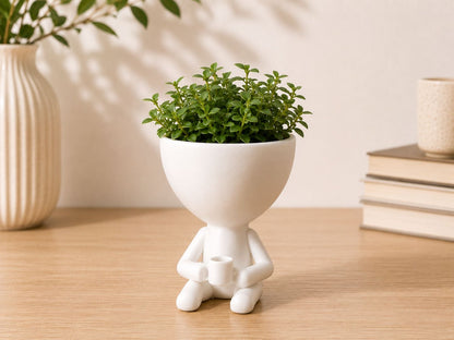 Character Planters | Modern Succulent Pots, Rainbow Home Decor, 3D Printed Figurines
